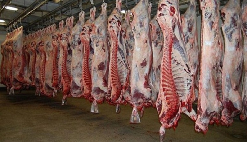 اُفت لاک پشتی قیمت گوشت با وجود ازدیاد دام در بازار/ واسطه‌ها سدی در برابر ارزانی!