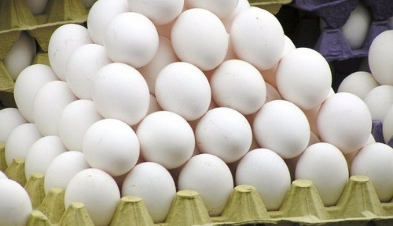 تخم مرغ ارزان شد/صادرات روزانه ۱۵۰ تن تخم مرغ به بازار‌های هدف