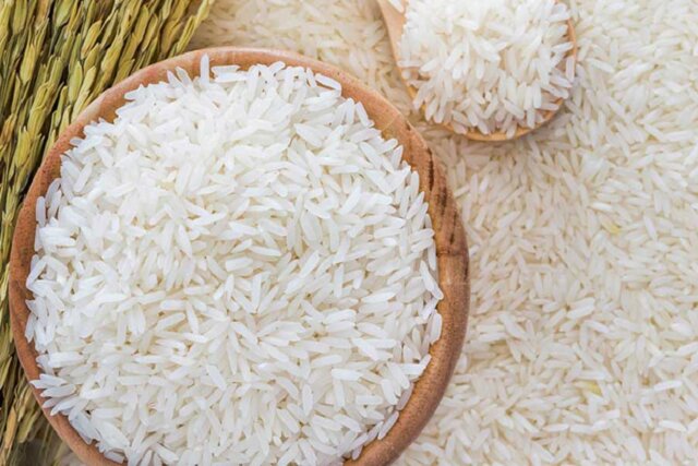 کشور فقط به یک میلیون تن برنج وارداتی نیاز دارد