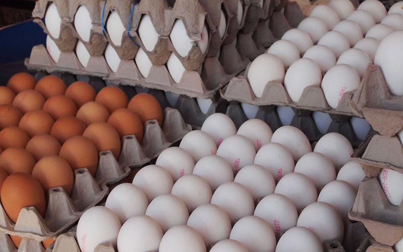قیمت تخم مرغ شانه ای ۵۵ هزار تومان/آیا سهمیه نهاده مرغداران کاهش یافته است؟