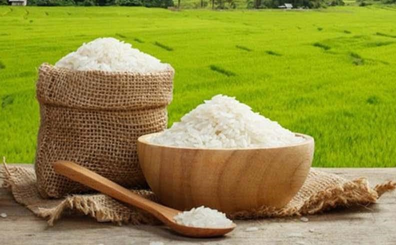 آغاز توزیع هوشمند برنج ایرانی‌/ جزئیات تخصیص ارز برای تأمین نهاده‌‌ دامی