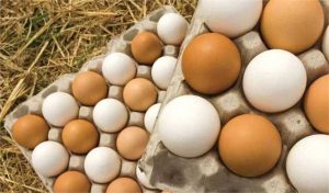 هر کیلو گرم تخم مرغ در بازار حداقل ۴۰ و حداکثر ۴۴ هزار تومان است