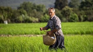 بیش از هزار میلیارد ریال خسارت سیل به کشاورزان رفسنجان پرداخت شد