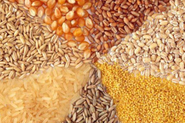 افزایش قیمت خوراک دام در بازارهای جهانی/ ۳ عامل افزایش قیمت کالاهای اساسی