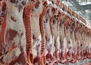 توزیع روزانه ۴۰۰ تن گوشت گرم وارداتی در تهران