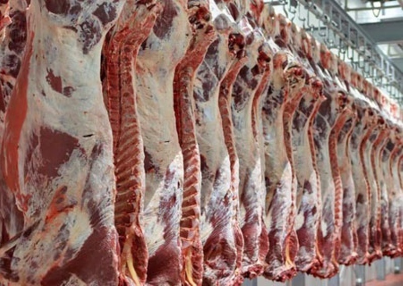 کشتار دام‌های مولد از دلایل گرانی گوشت است