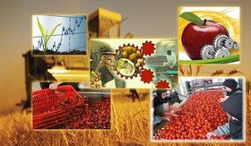 صدور مجوز ۹ طرح صنعتی کشاورزی در خوزستان
