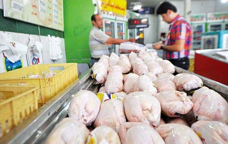 توزیع روزانه ۱۵۰۰ تن مرغ در تهران