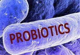 نوآوری محققان کشور برای افزایش زنده‌مانی باکتری‌های پروبیوتیک در محصولات فراسودمند