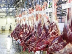 روزانه ۲۰۰ تن گوشت گرم وارد کشور می‌شود/ علت تشکیل صف برای خرید
