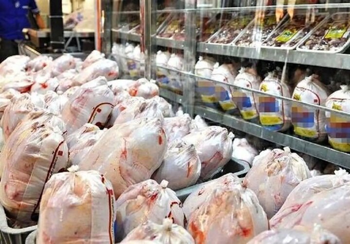 صادرات مرغ بیش از ۶۰۰ میلیون دلار ارزآوری دارد
