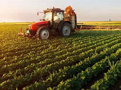 توسعه زیرساخت‌های کشاورزی نیاز به تغییر رفتار در مزرعه دارد