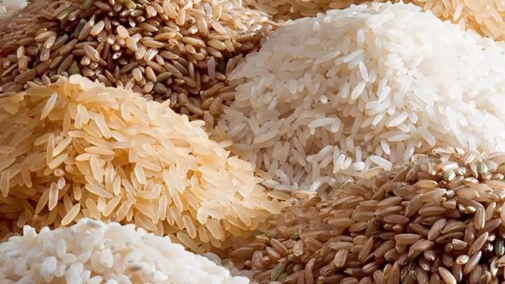 حداکثر نیاز سالانه به واردات برنج ۶۰۰ هزارتن است