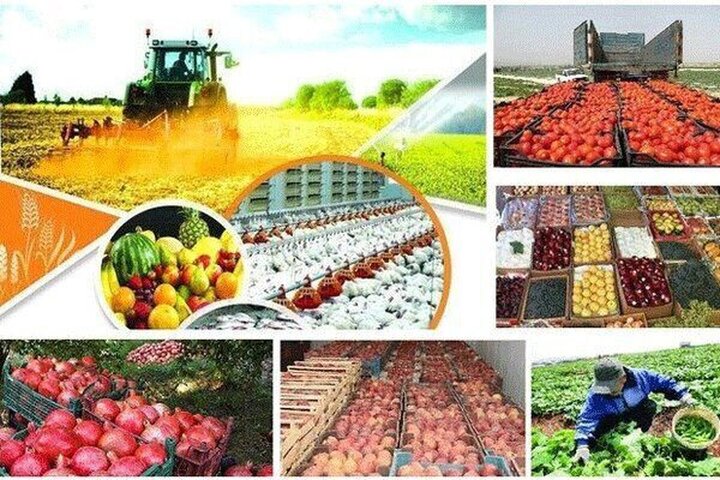 رئیس اتحادیه ملی محصولات کشاورزی: رشد ۲ برابری صادرات با کاهش ضایعات محصولات کشاورزی تحقق می‌یابد