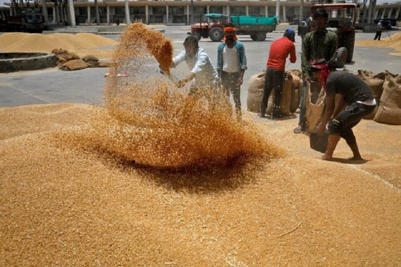 به زودی میزان خسارت سیل به مزارع گندم اعلام می‌شود