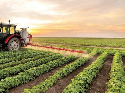 حرکت بخش کشاورزی معیشتی به سمت کشاورزی اقتصادی