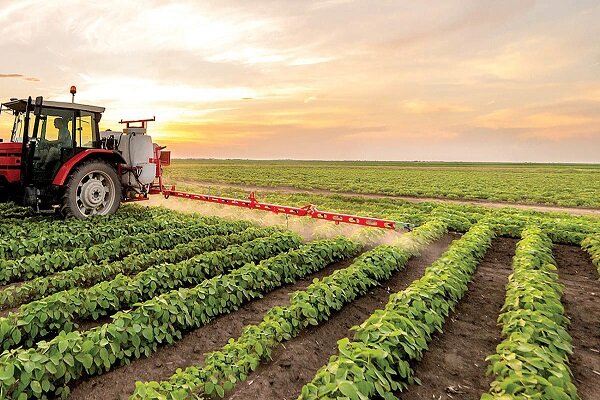 نیکبخت: مسیر تولید و سرمایه گذاری در بخش کشاورزی باید هموار باشد