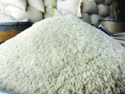 برنامه دولت برای تخصیص ارز برنج اعلام شود