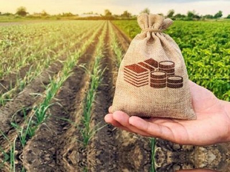 ۹.۷ همت حق بیمه تولیدی محصولات کشاورزی از ابتدای سال زراعی جاری تا کنون