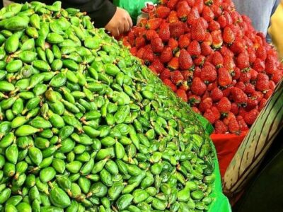 رئیس اتحادیه بارفروشان: توزیع روزانه میوه و صیفی در میدان مرکزی به ۲۲ هزار تن رسید