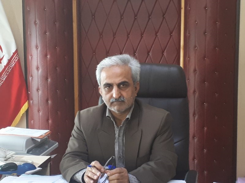 رئیس سازمان چای کشور: پرداخت تسهیلات کمبهره به چایکاران آغاز شد