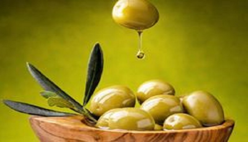 تولید میوه زیتون به ۱۲۰ هزار تن رسید/ واردات روغن‌های بی کیفیت زیتون در بازار