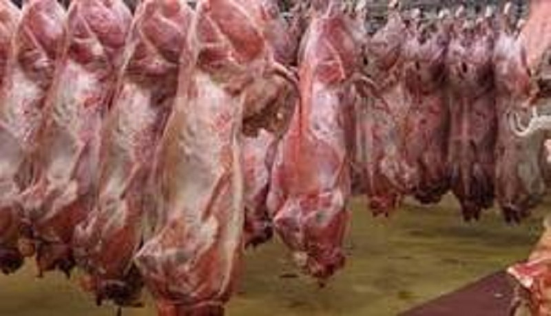قاچاق دام محدود شد/کاهش ۱۰ هزار تومانی نرخ گوشت قرمز در بازار
