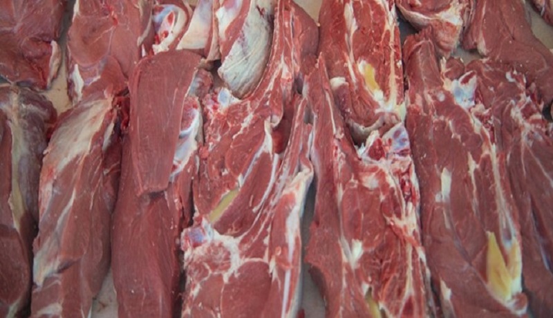 استمرار کاهش قیمت دام در بازار/ کمبودی در عرضه گوشت وجود ندارد