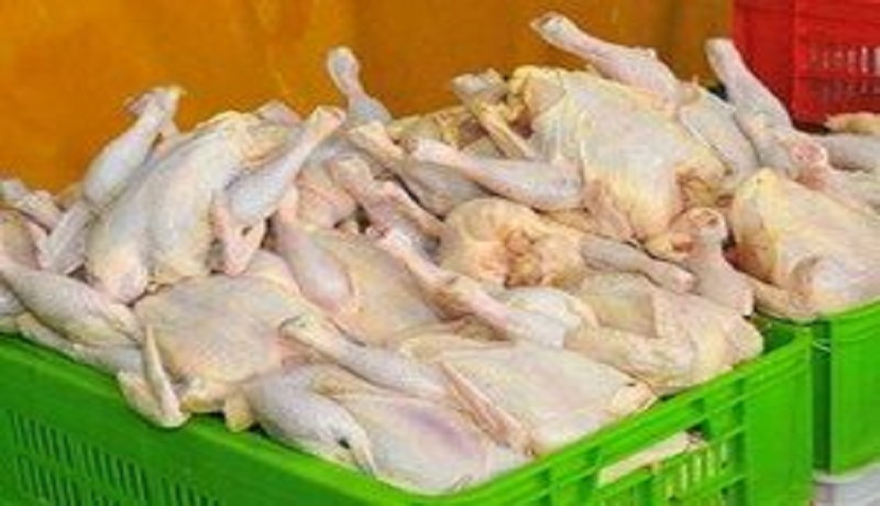 افت ۴۵۰ تومانی نرخ مرغ در بازار/ قیمت مرغ به ۱۲ هزار و ۳۵۰ تومان رسید