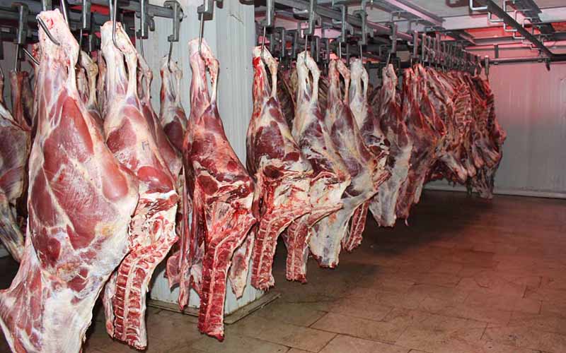عرضه گسترده گوشت گرم وارداتی بازار را به تعادل می رساند