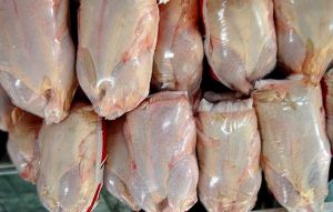 پتانسیل صادرات یک میلیون تن مرغ در کشور وجود دارد