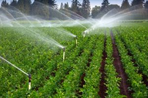 ۴۶۰ هکتار از اراضی نمین به سیستم نوین آبیاری مجهز می‌شوند