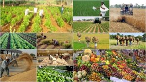 غیررقابتی بودن محصولات کشاورزی و عدم توسعه صنایع تبدیلی در کشور