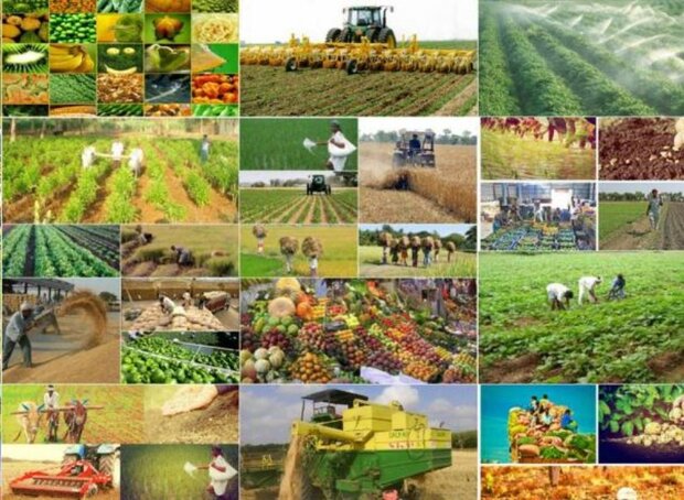تغییر الگوی کشت در اراضی زراعی حوضه دریاچه ارومیه