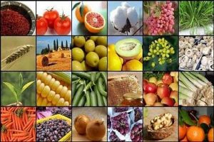 شرایط جدید برای عرضه و صادرات محصولات کشاورزی از اسفند