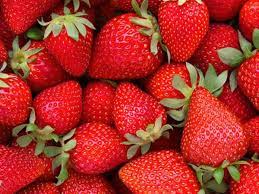 توت فرنگی محبوب‌ترین میوه‌ ایرانی/۱۲۰ هزار تن توت‌فرنگی روانه بازار شد