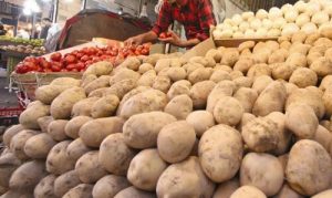 کاهش ۱۵۰۰ تومانی قیمت سیب زمینی در بازار