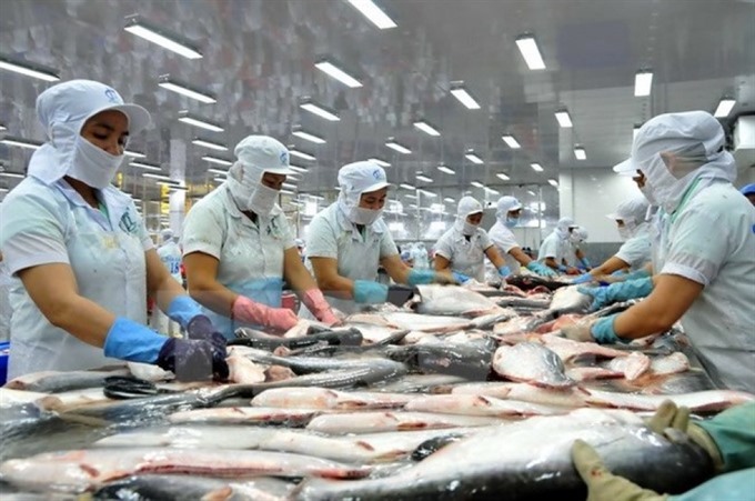 پیش بینی افزایش ۵ درصدی تولید ماهی