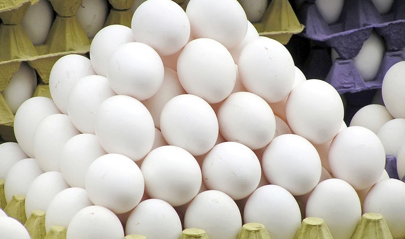 عرضه هر شانه تخم مرغ ۶ هزار تومان کمتر از نرخ مصوب