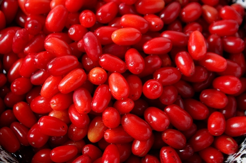 10 خاصیت شگفت انگیز زغال اخته