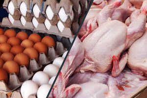 قیمت جدید مرغ و تخم‌مرغ تثبیت می‌شود