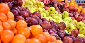 ذخیره‌سازی سیب و پرتقال برای تنظیم بازار میوه شب عید
