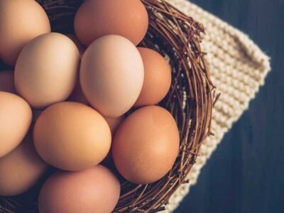 حداکثر قیمت هر عدد تخم مرغ فله ۴ هزار تومان است
