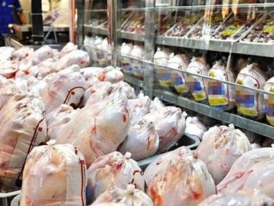 ‌بازار دائمی صادرات ۱۵ میلیون قطعه‌ای مرغ