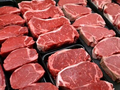 تاثیر واردات گوشت بر بازار چقدر است؟