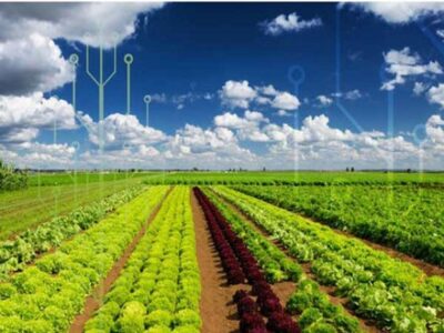 اجرای الگوی کشت وظیفه‌ای فراقوه‌ای است