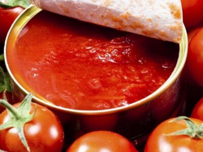 برداشت ۴۰۰ هزار تن گوجه ‌فرنگی از مزارع آذربایجان‌غربی آغاز شد