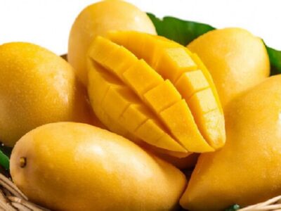 واردات انبه از کنیا مجاز شد