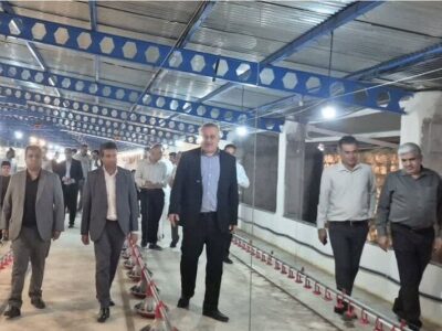 تقویت قطب تولید گوشت مرغ غرب هرمزگان با افتتاح طرح توسعه‌ای در بستک